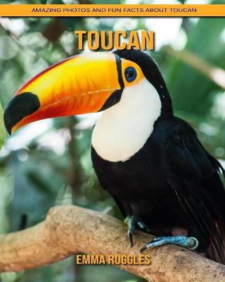 Book cover for Toucan