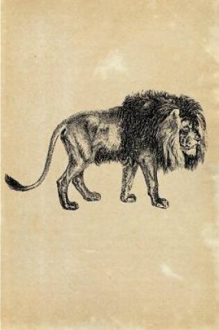 Cover of Lion (Felis Leo)