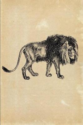 Book cover for Lion (Felis Leo)