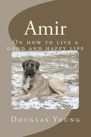 Cover of Amir