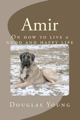 Book cover for Amir