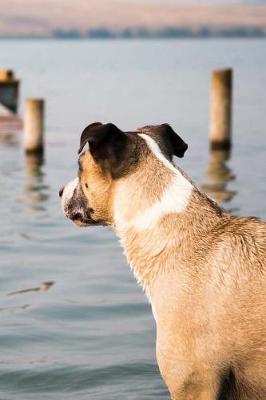 Book cover for Dog Lake Notebook