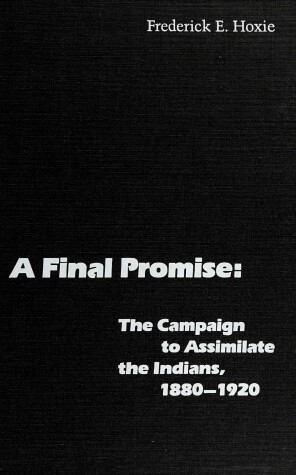 Book cover for A Final Promise