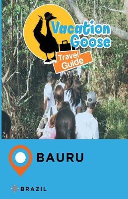 Book cover for Vacation Goose Travel Guide Bauru Brazil