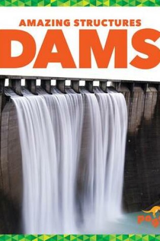 Cover of Dams