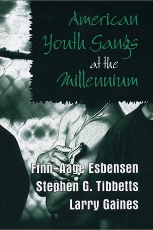 Cover of American Youth Gangs at the Millennium