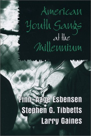 Book cover for American Youth Gangs at the Millennium