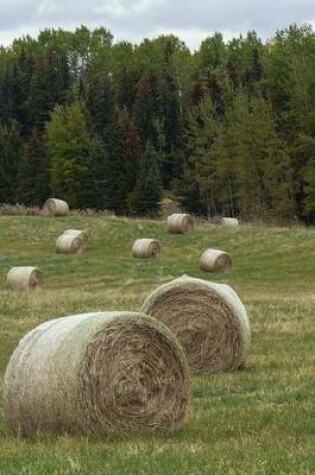 Cover of A Field of Hay in Idaho