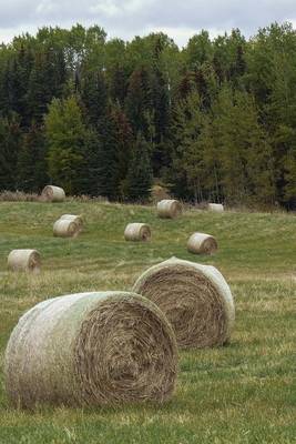 Book cover for A Field of Hay in Idaho