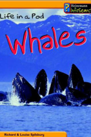 Cover of Animal Groups: Life in a Pod of Whales Paperback