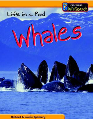 Book cover for Animal Groups: Life in a Pod of Whales Paperback
