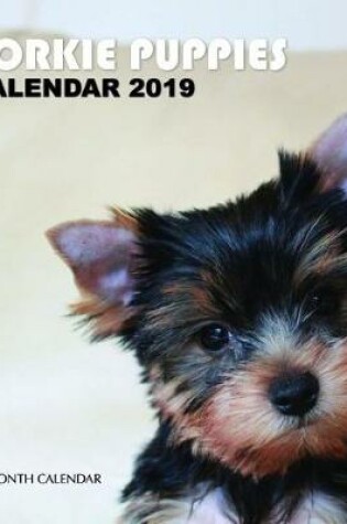 Cover of Yorkie Puppies Calendar 2019