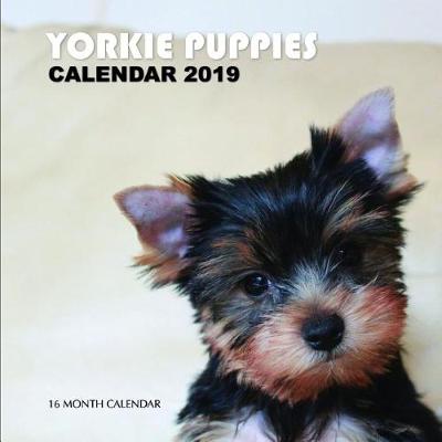 Book cover for Yorkie Puppies Calendar 2019