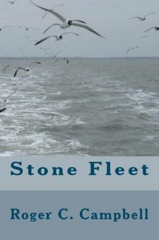 Cover of Stone Fleet