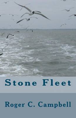 Book cover for Stone Fleet