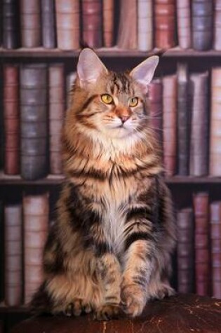 Cover of Maine Coon Tabby Cat in the Library Journal