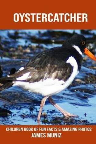 Cover of Oystercatcher