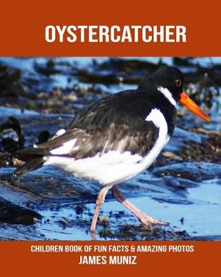 Book cover for Oystercatcher