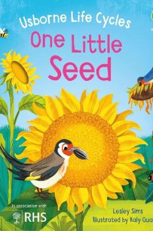 Cover of One Little Seed