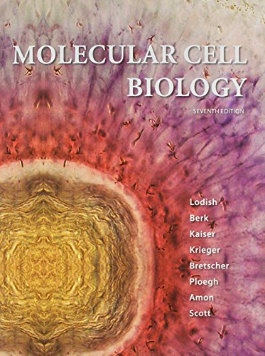 Book cover for Molecular Cell Biology & Solutions Manual