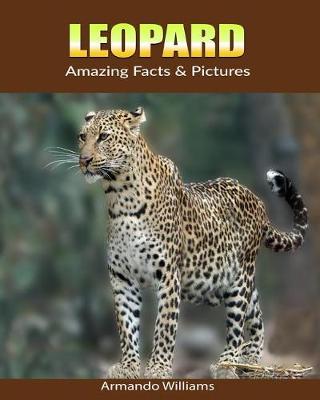 Book cover for Leopard