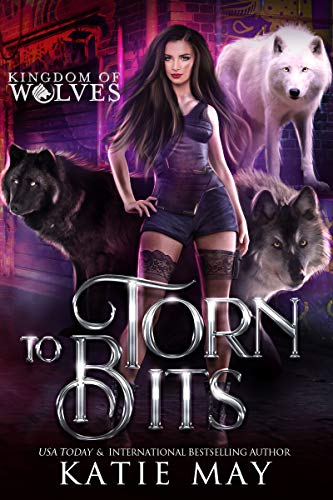 Book cover for Torn to Bits