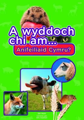 Book cover for Cyfres a Wyddoch Chi: A Wyddoch Chi am Anifeiliaid Cymru?