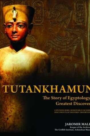 Cover of Tutankhamun: The Life of the Boy King