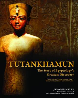 Cover of Tutankhamun: The Life of the Boy King