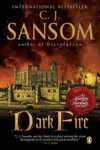 Book cover for Dark Fire