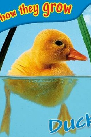 Cover of See How They Grow: Duck