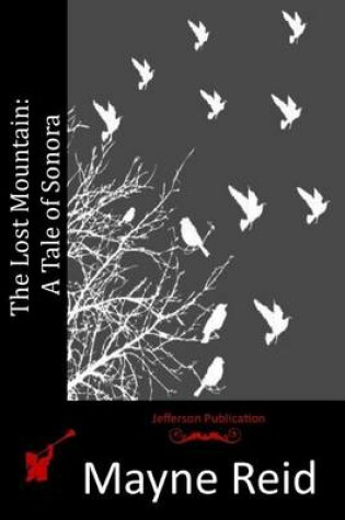 Cover of The Lost Mountain