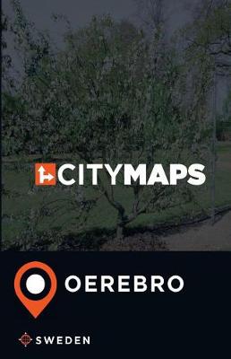 Book cover for City Maps OErebro Sweden