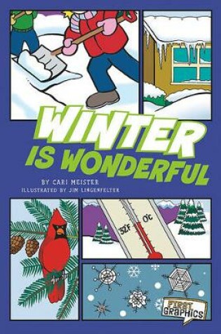 Cover of Winter Is Wonderful