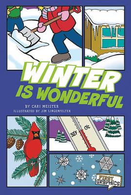 Book cover for Winter Is Wonderful