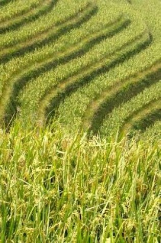 Cover of Beautiful Green Terraced Rice Field on a Hill Journal