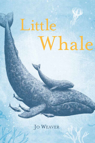 Cover of Little Whale