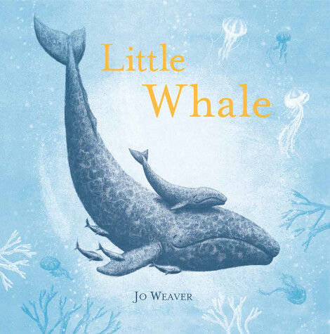 Book cover for Little Whale