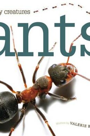 Cover of Ants