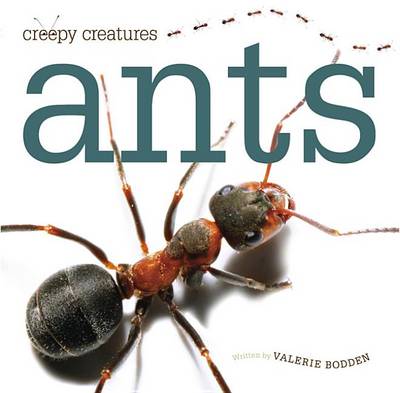 Cover of Ants