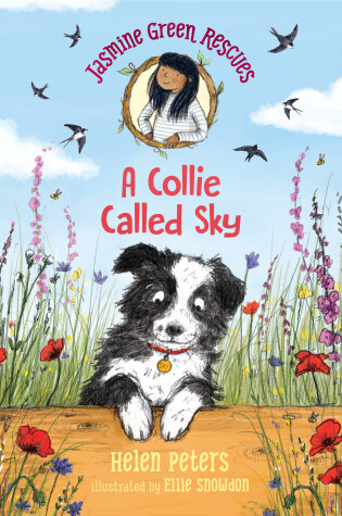 Cover of Jasmine Green Rescues: A Collie Called Sky