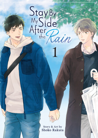 Book cover for Stay By My Side After the Rain Vol. 1