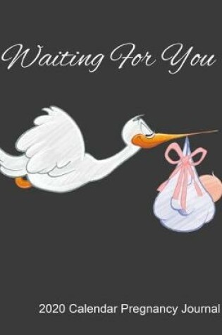 Cover of Waiting For You 2020 Calendar Pregnancy Journal