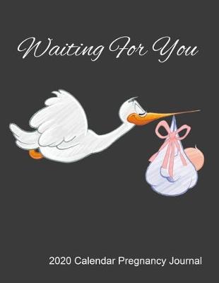 Book cover for Waiting For You 2020 Calendar Pregnancy Journal