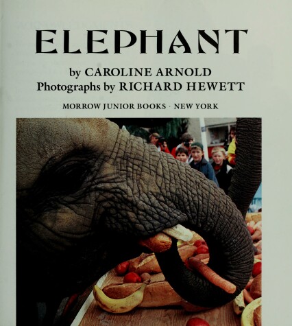 Book cover for Elephant
