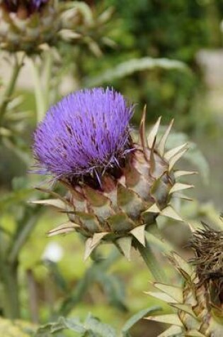 Cover of Purple Artichoke Bloom, for the Love of Flowers