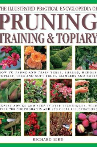 Cover of The Pruning, Training & Topiary, Illustrated Practical Encyclopedia of
