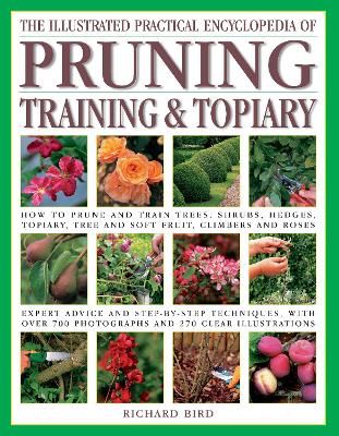 Book cover for The Pruning, Training & Topiary, Illustrated Practical Encyclopedia of