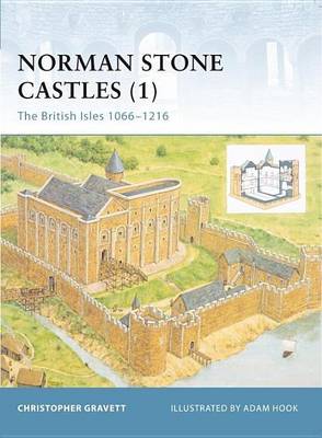 Book cover for Norman Stone Castles (1)