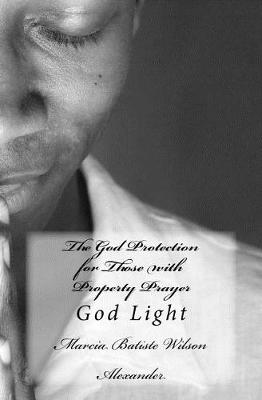 Book cover for The God Protection for Those with Property Prayer